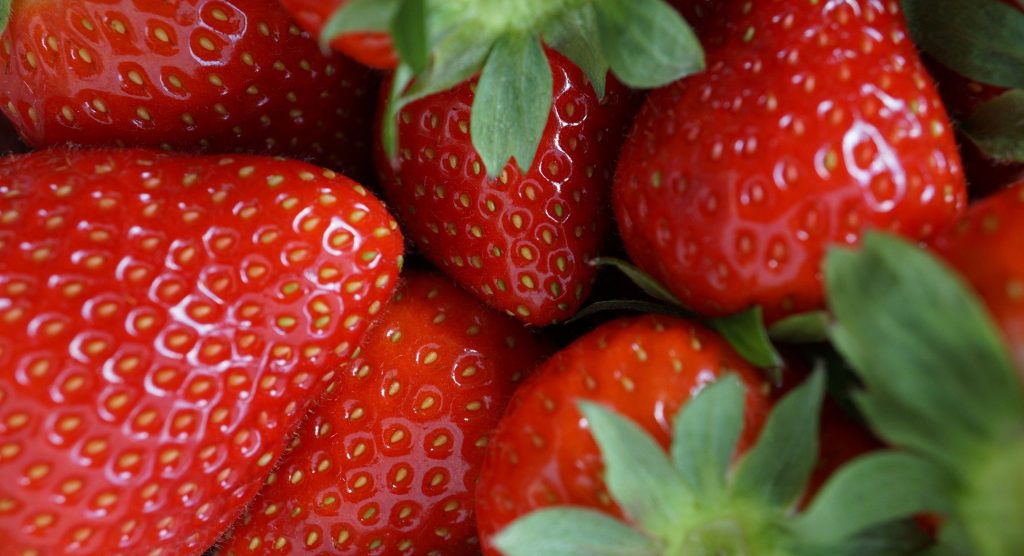 Erdbeeren / căpșuni